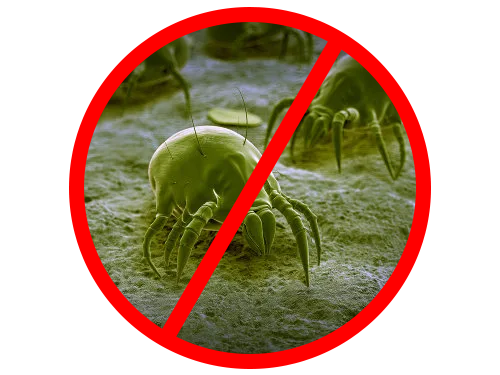anti acaro